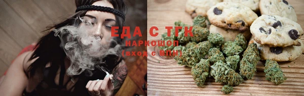 сатива Новодвинск