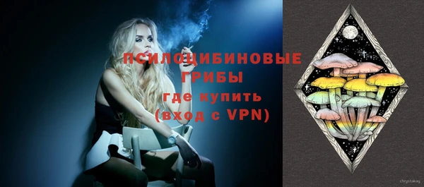 сатива Новодвинск
