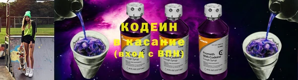 сатива Новодвинск