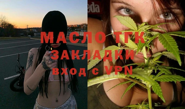 сатива Новодвинск