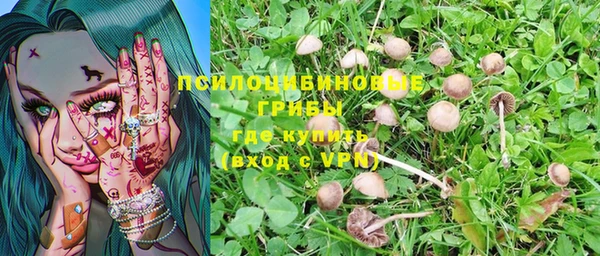 гашик Весьегонск