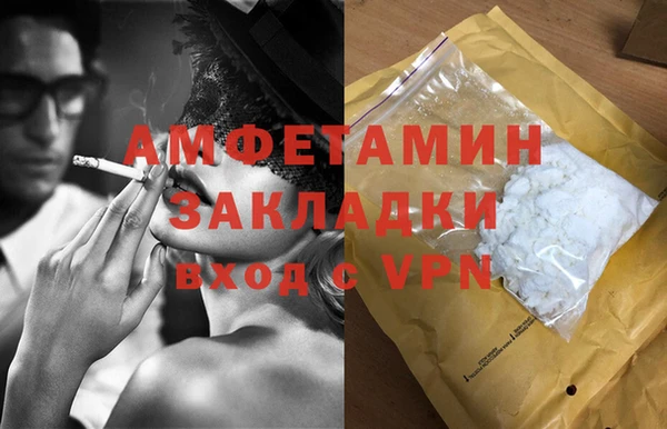 сатива Новодвинск