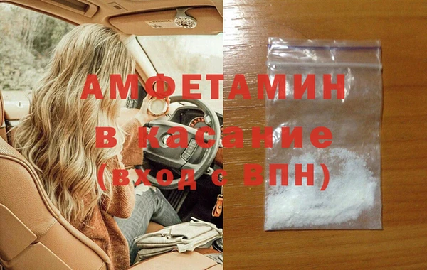 сатива Новодвинск