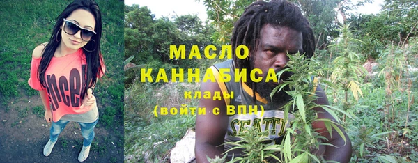 сатива Новодвинск