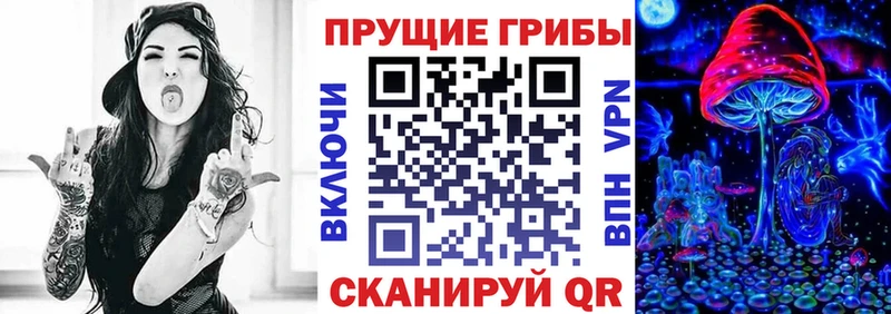 kraken tor  Никольск  Галлюциногенные грибы мухоморы  где можно купить наркотик 